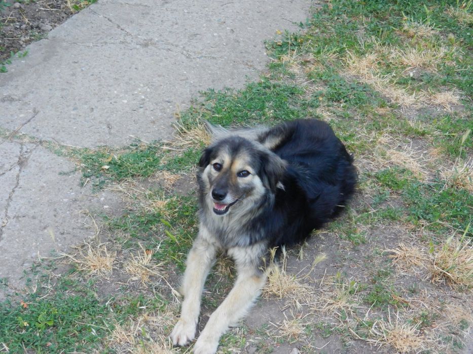 Nikon Coolpix S9100 Black - Zoom 18x - Baterie Nouă + Card (Cititi!)