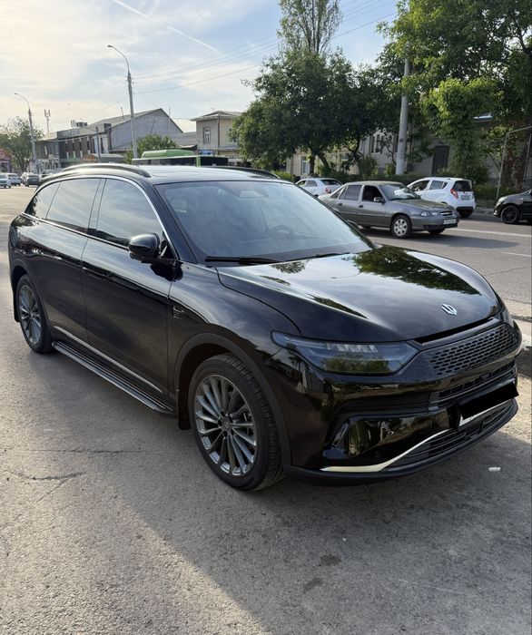 Leapmotor C11 Rest Gibrid 300km Full 2024/25