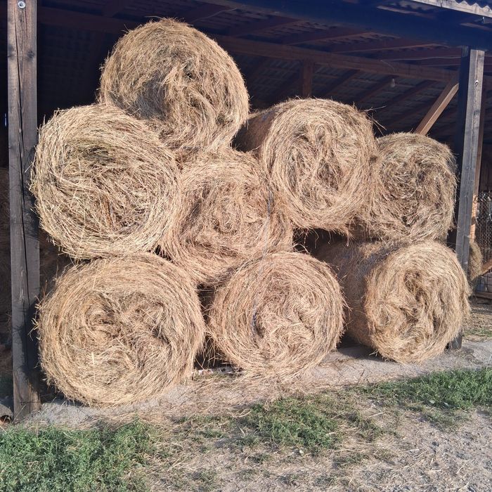 Fân de vânzare  33 de baloți