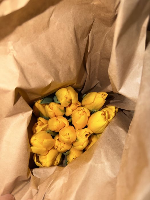 Тюльпаны на корпоратив