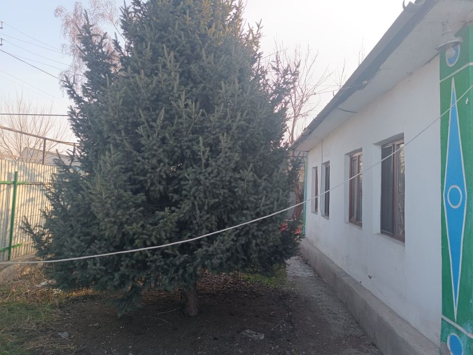 Продается жилой дом