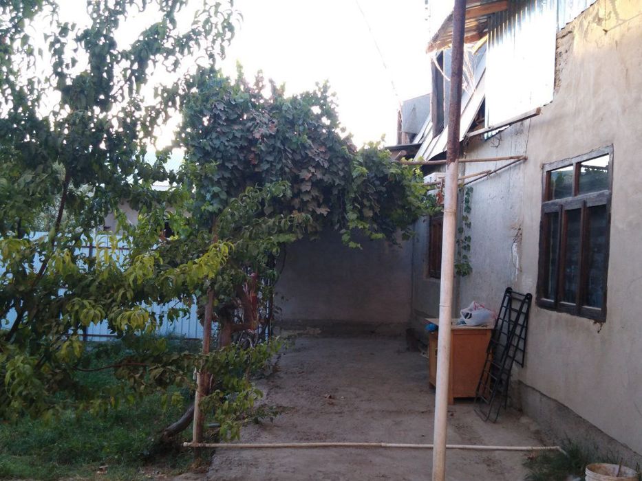 Сотилали 5 сотих