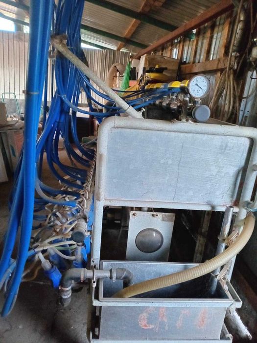 Sală de muls profesională 12 posturi – complet utilată