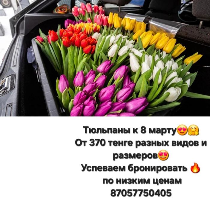 Тюльпаны к 8 марту