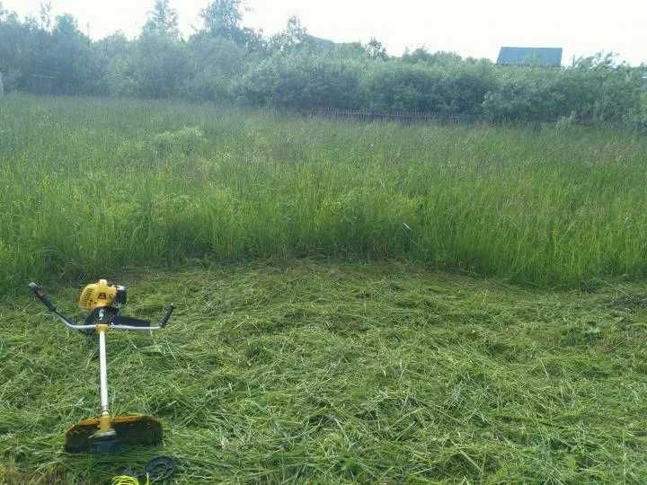 Покос травы тримером\бензокосой