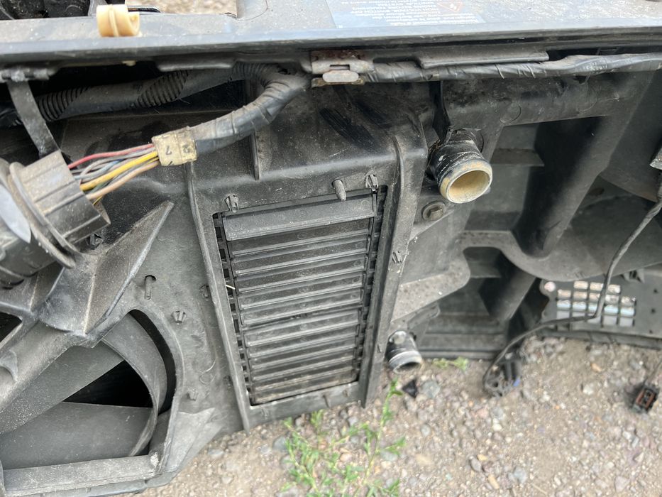 Ноускат на гольф 3