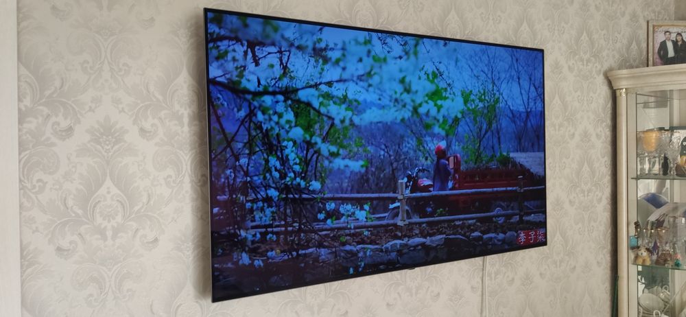 Телевизор LG OLED TV 55