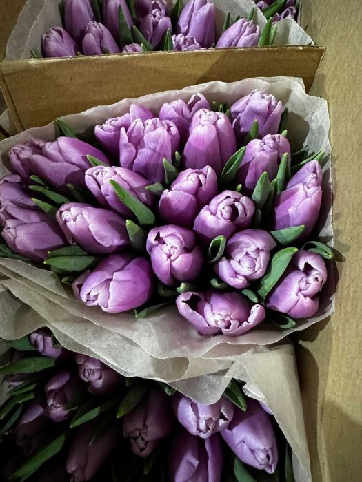 Тюльпаны к 8марту