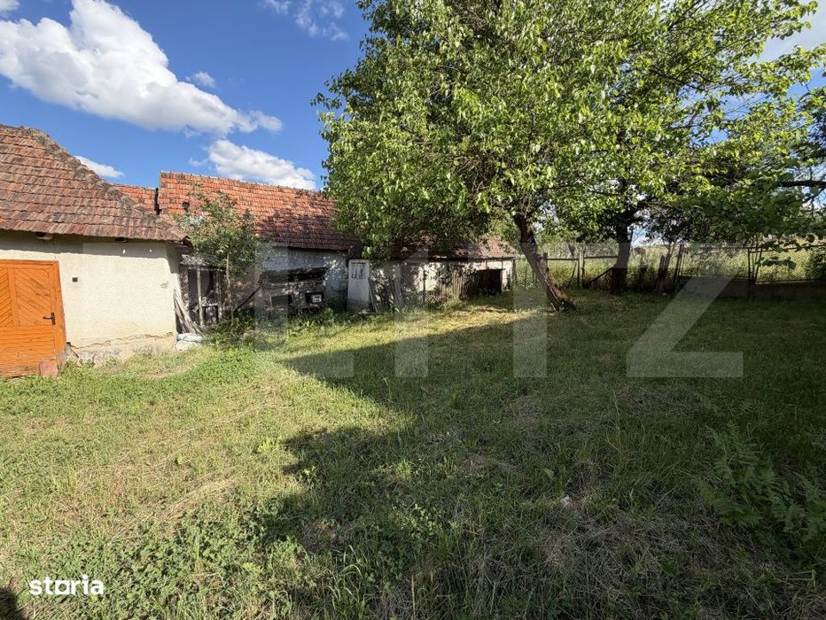 Casa cu 3 camere si un teren de 4100 mp