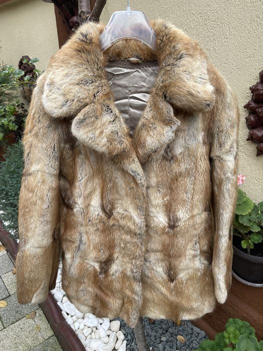 Scurta bizam eleganta