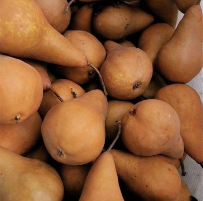 Pere pentru tuica 3.5 lei