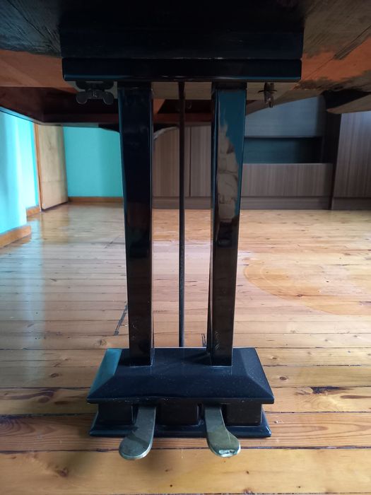 Роял Carl Dörr Wien от началото на ХХ век