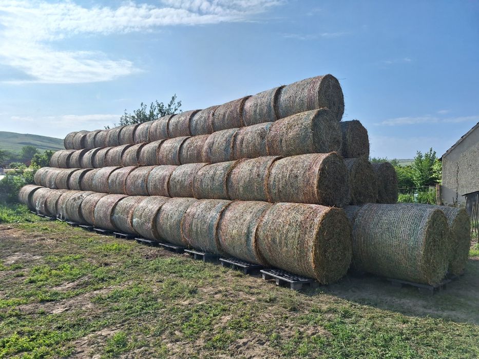 Vand baloti de lucerna 120x120