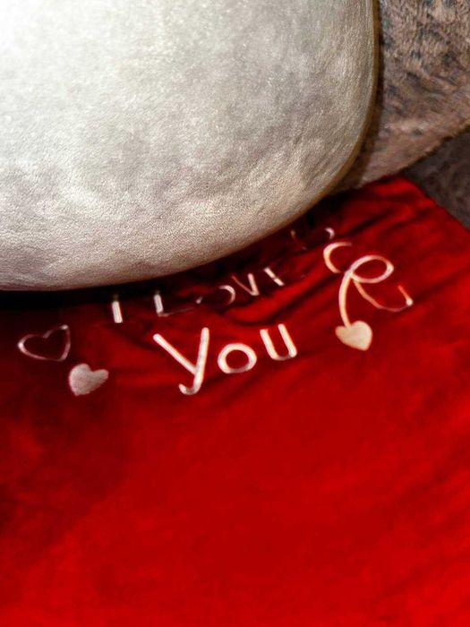 Yangi ayiqcha (sovg'aga)