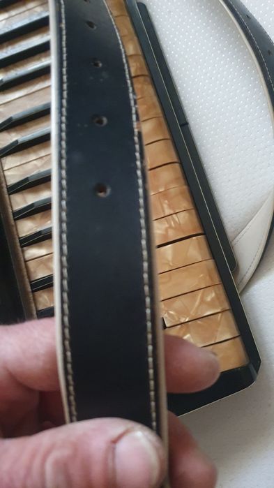 Acordeon HESS-98 ani