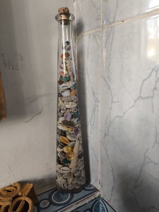 Ракушки разных размеров и ыорм