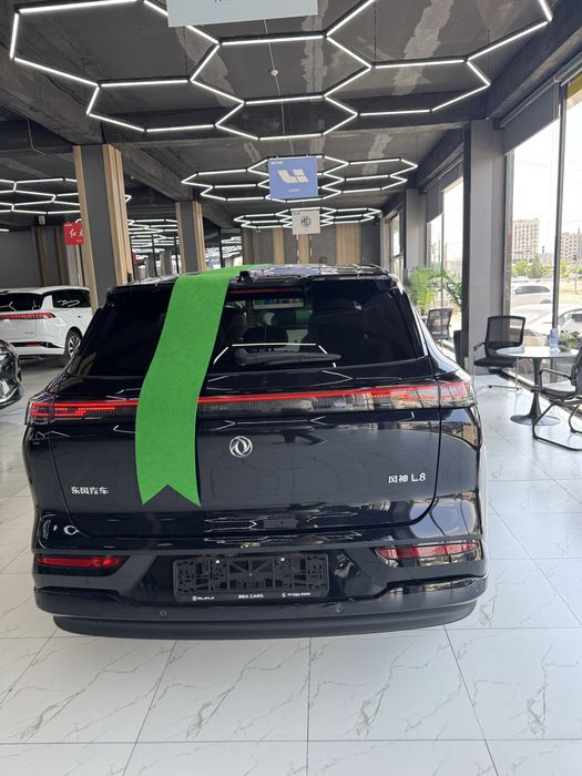 Dongfeng Aeolus L8