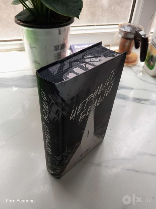 Книга Черный Белый Ри Гува