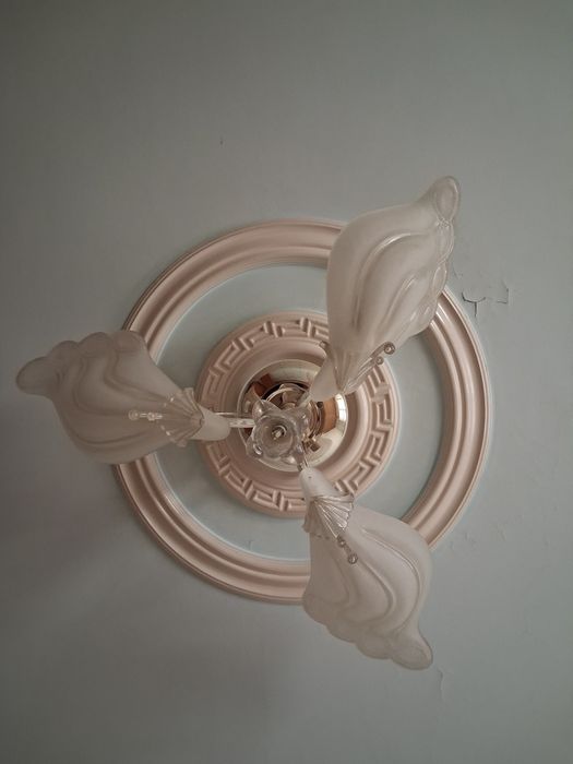 Люстра в стиле модерн (с плафонами-лепестками)