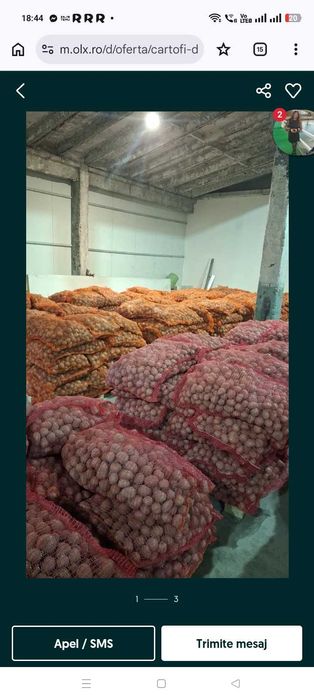 Vând cartofi de sămânță alb și roșu ne puteți găsi în piața la cepele