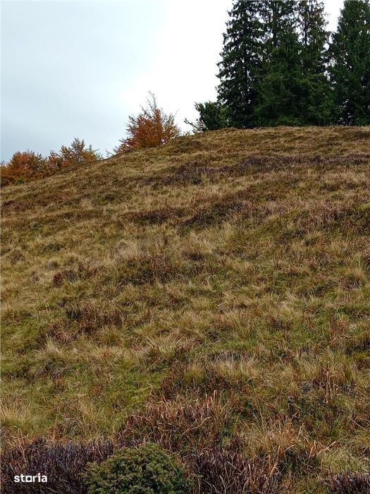 Teren extravilan la Cresuia, Stana de Vale