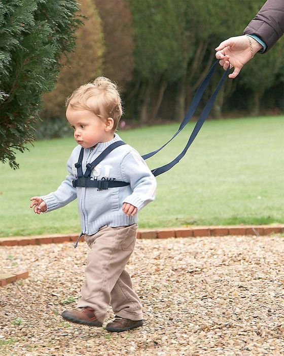 Вожжи для ребенка