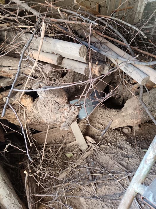 Продам Дрова