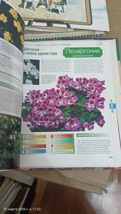 Отдам энциклопедии Растения и Рисование