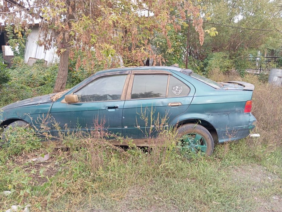 Машина Сатамын Срочна