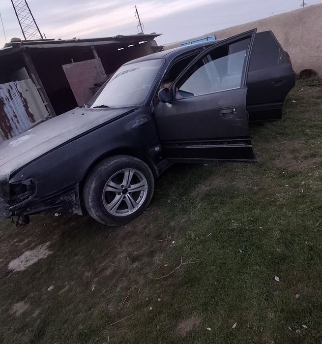 Жағдаиы орта жүмысы бар