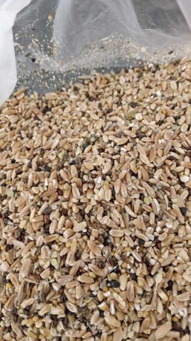 Отходы Зерноотходы Полова Отруби Сечка