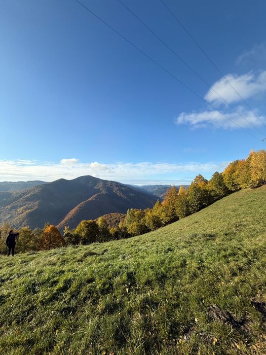 Teren autorizat pentru 4 cabane Muntele Rece
