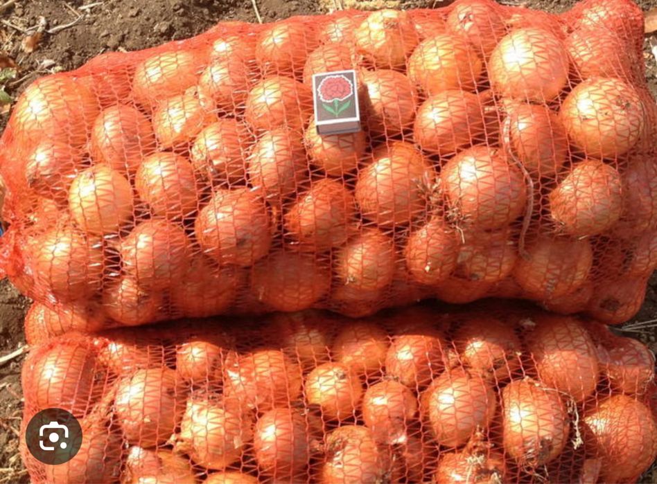 Продам картофель