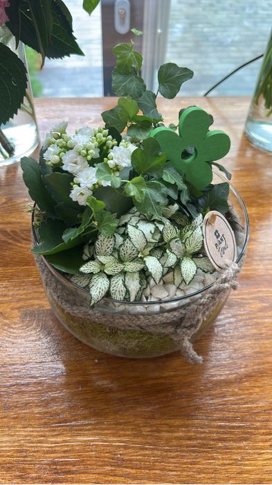 Creez boluri cu plante vii