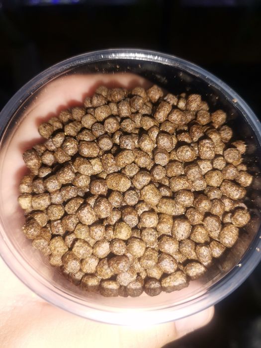 Granule plutitoare de crap și caras 4mm