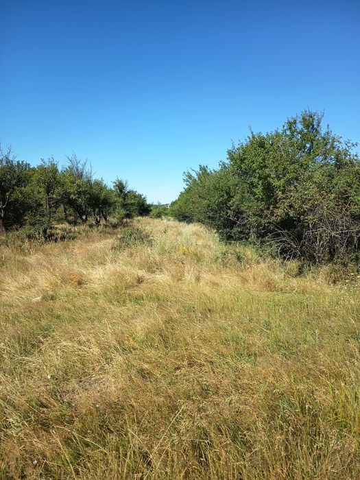 Vând teren intravilan,strada prunilor,Smeura la 3 km de centrul orașul