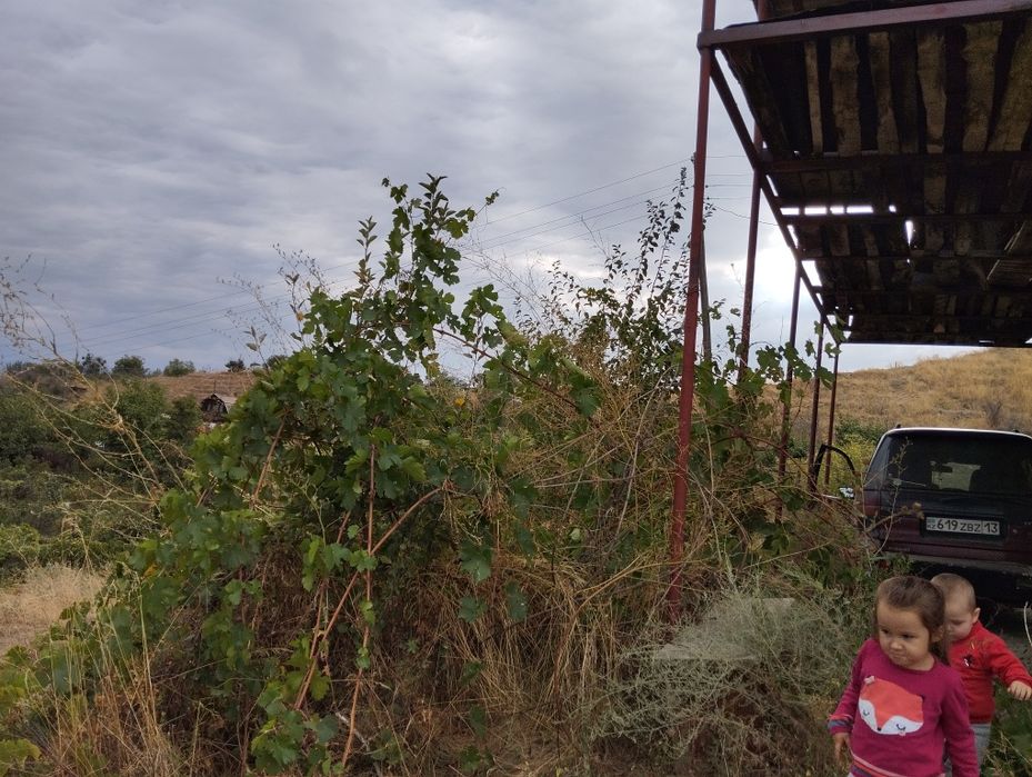 Продам дачу (турарские дачи)