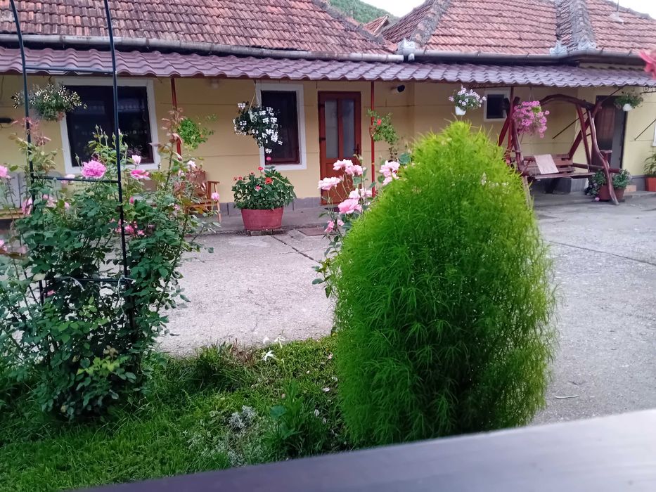 Casa de vanzare in Vetel