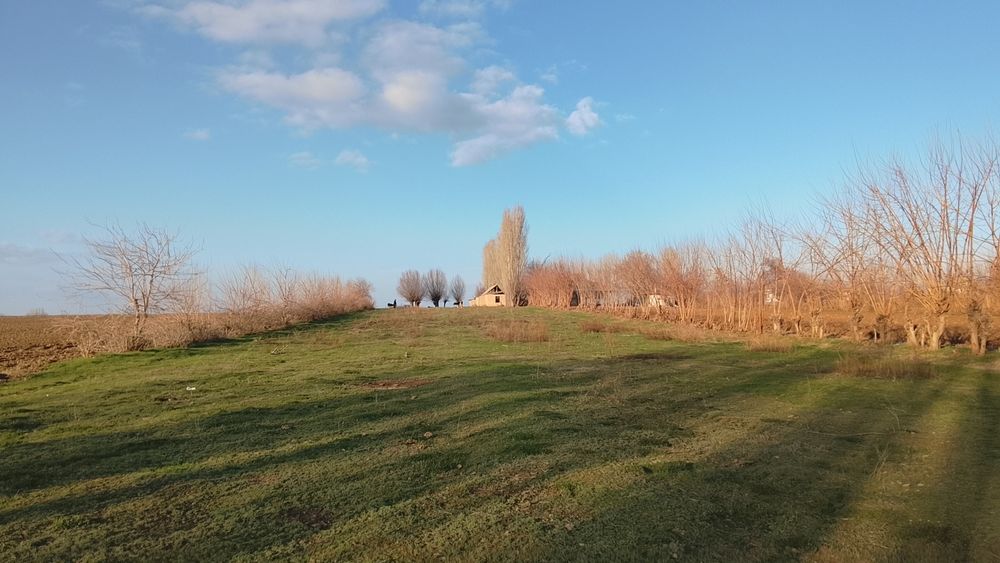 Срочна котта йеримиза сотувга чикди 51 сотих