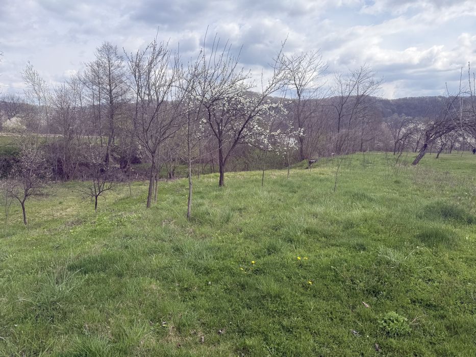 Vand casa batraneasca si teren