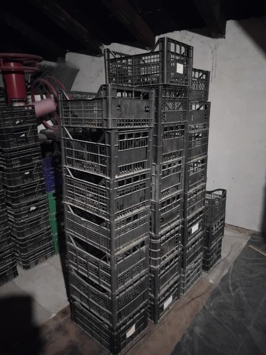 Mese și scaune  pentru  afaceri