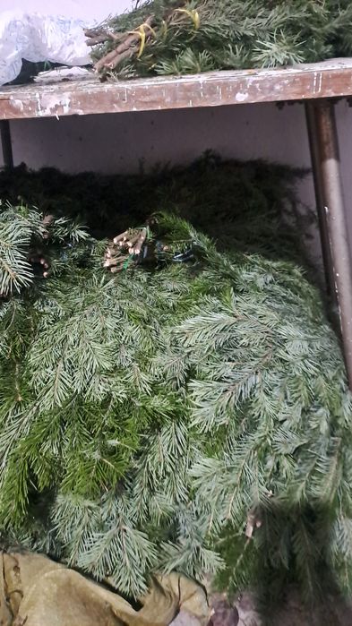 Пихтовый веник и масло