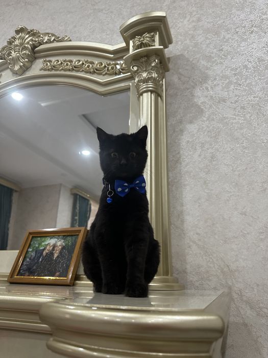 Мальчик в добрые руки