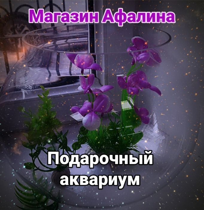 Рыбки в Афалине.(выше Шахристана)