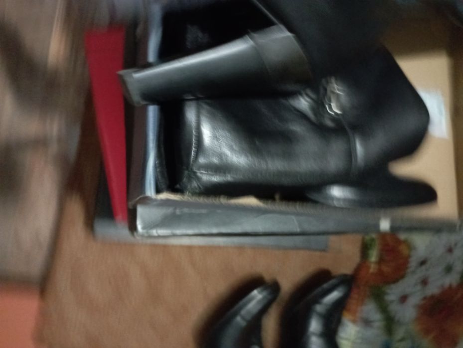 Сапоги женские. Осень