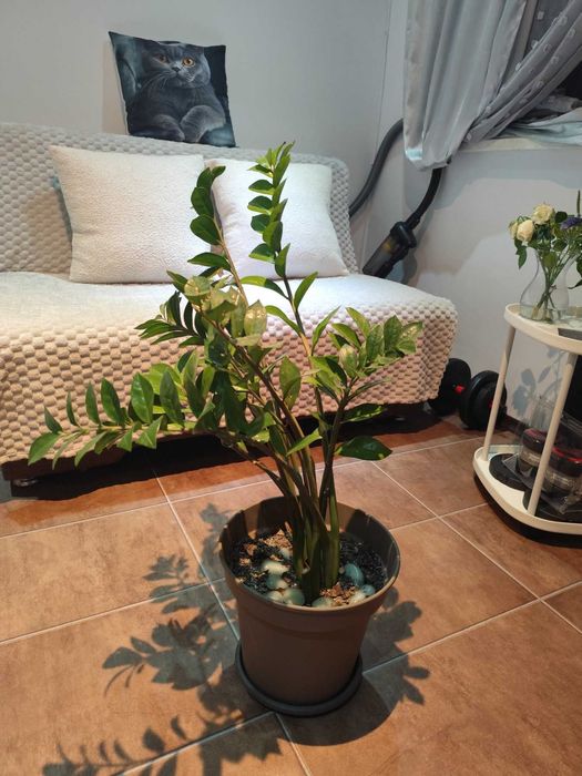 Диван растегателен 130см ширина 90 височина. Спално място 130-190см.