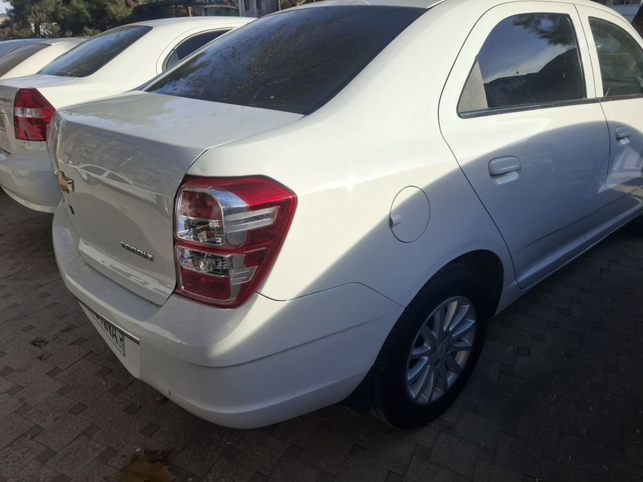 Продам кобилт 2023 викубга бераман