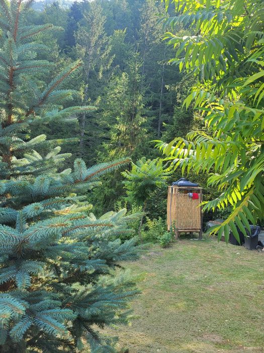 Cabana la munte, pe Valea Moașei, in apropiere de Sibiu