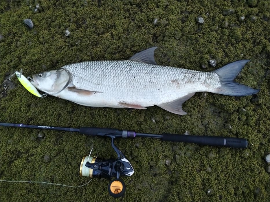 Спининг въдици - Daiwa Prorex AGS