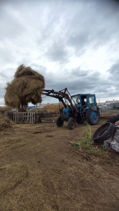 Трактор беларус Мтз 80